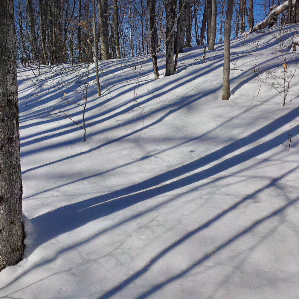 Snowshadows