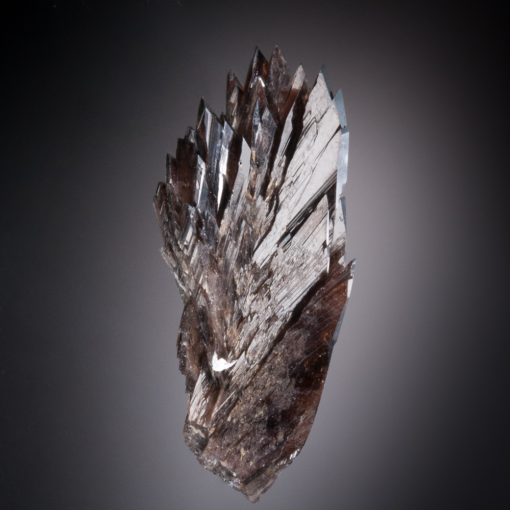 Axinite-(Fe), Bor Pit, Dal'negorsk, Primorskiy Kray, Russia