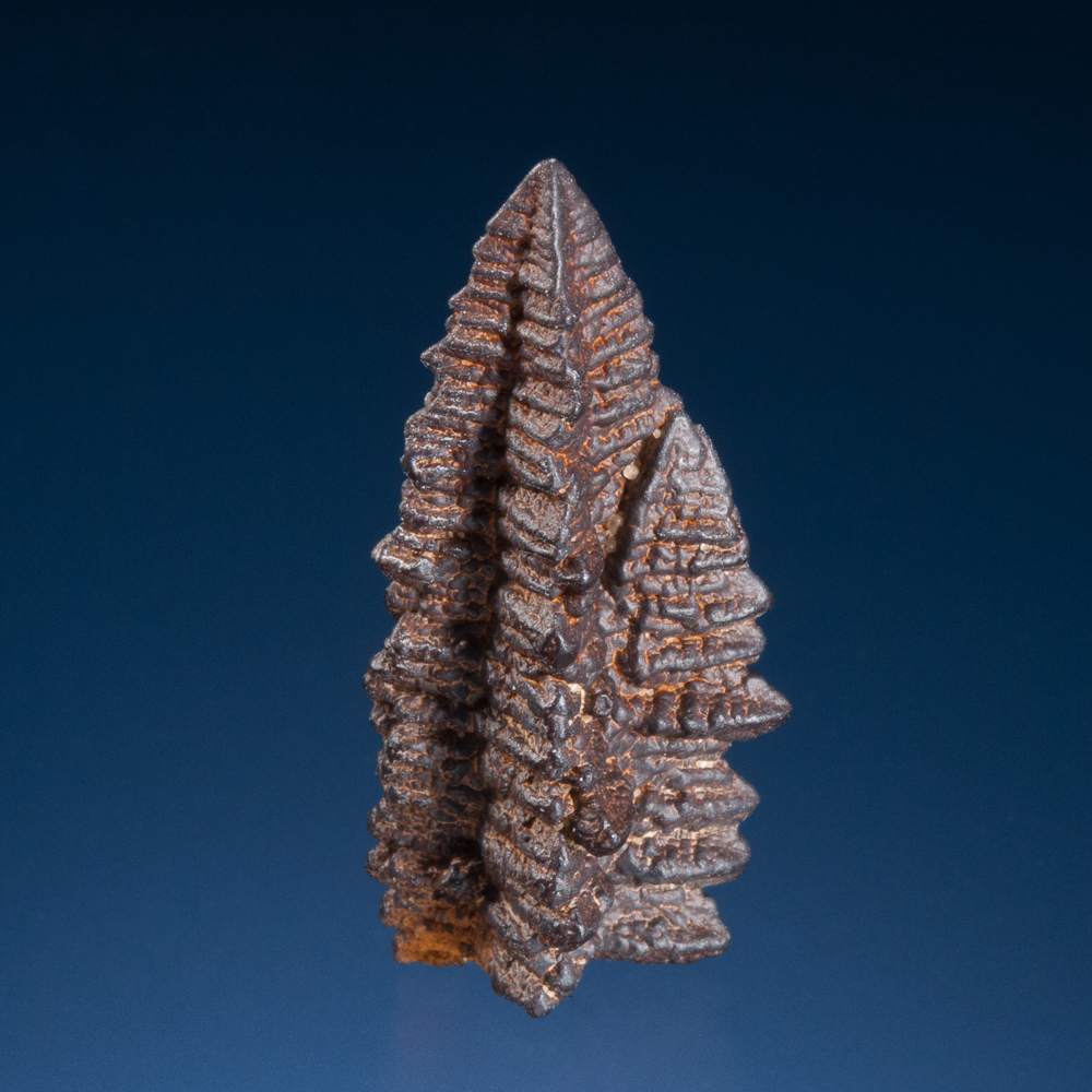 Goethite pseudomorph after marcasite, White Desert, north of Farafra Oasis, Egypt