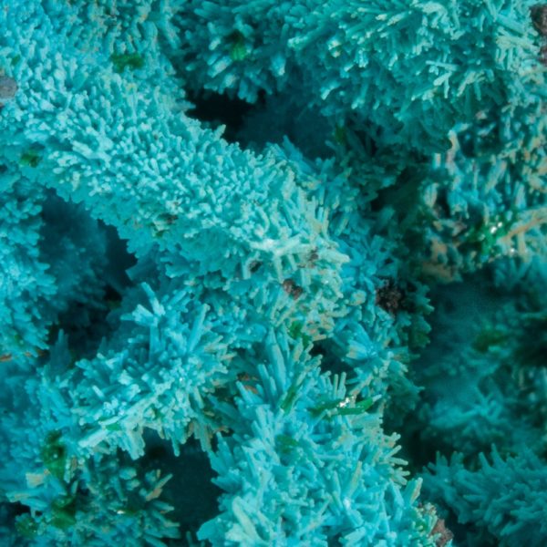 Chrysocolla - Image 8
