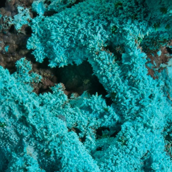Chrysocolla - Image 4