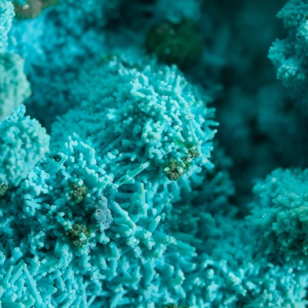 Chrysocolla - Image 5