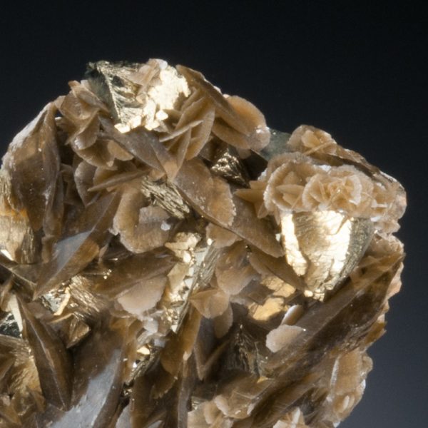 Chalcopyrite, Siderite - Image 3