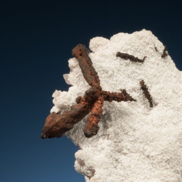 Copper - Image 2