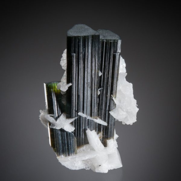 Elbaite Tourmaline, Albite