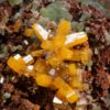 Wulfenite and Mimetite - Image 3