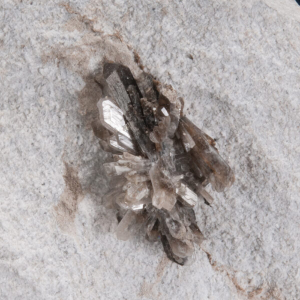 Howlite - Image 3