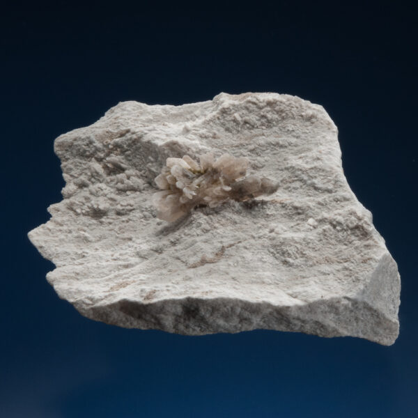 Howlite - Image 2