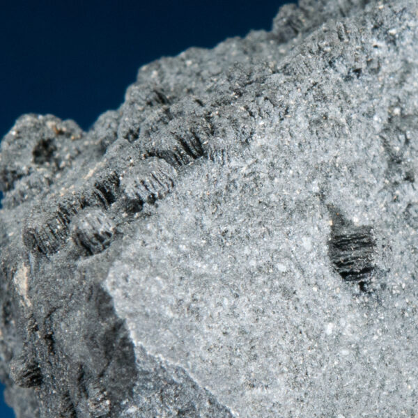 Acanthite ps Argentite - Image 2