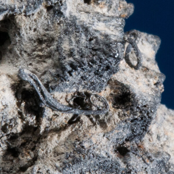 Acanthite ps Argentite, Silver - Image 3