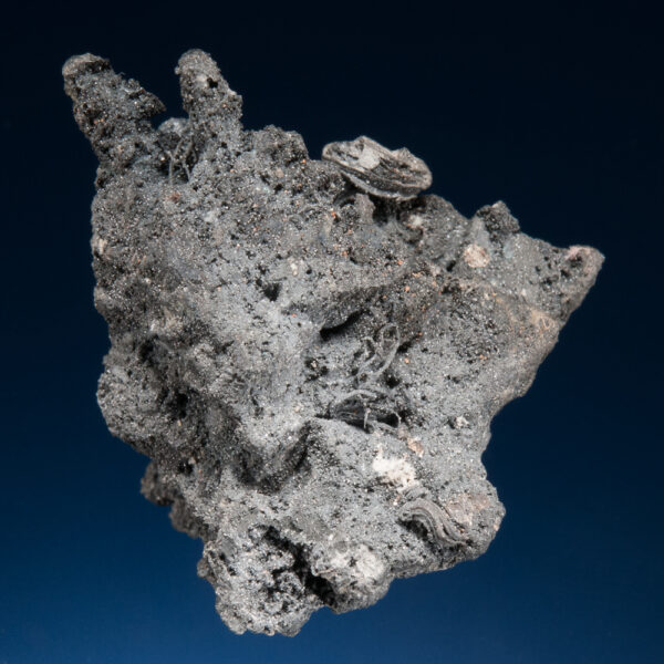 Acanthite ps Argentite, Silver - Image 3