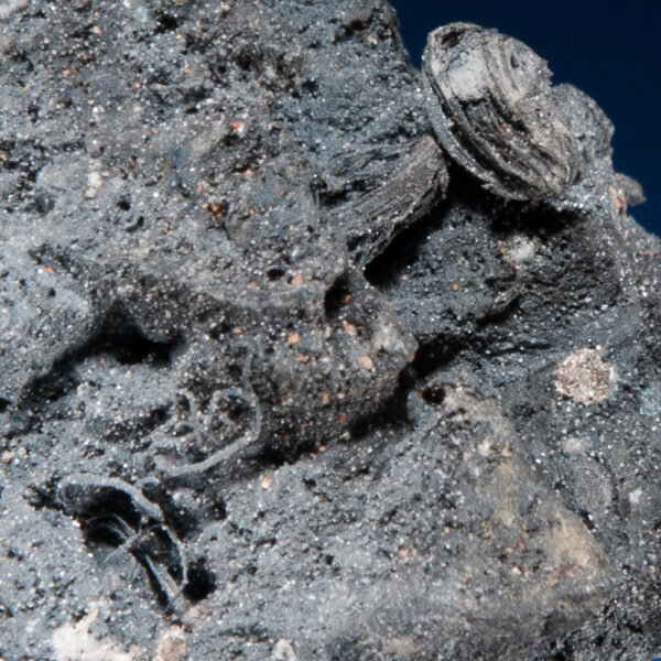 Acanthite ps Argentite, Silver - Image 2