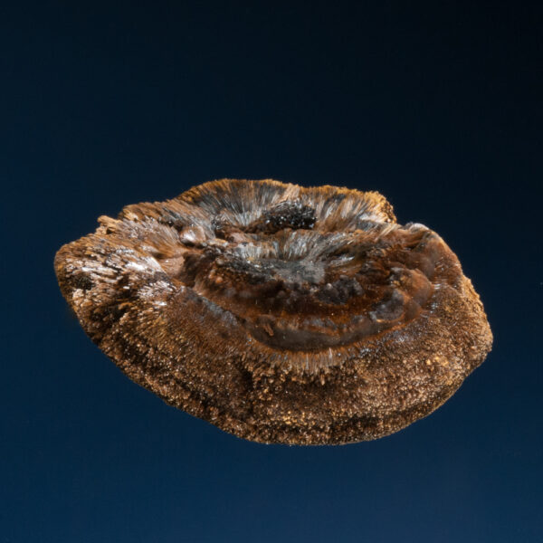 Goethite - Image 2