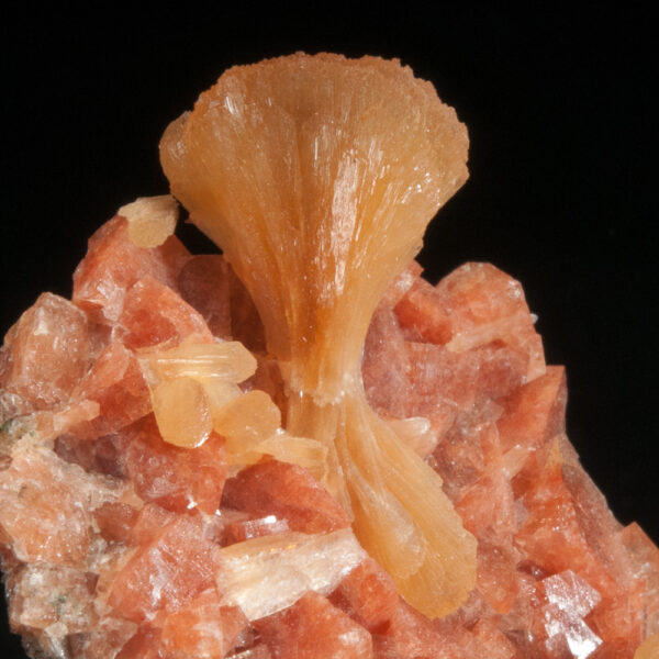 Stilbite, Chabazite - Image 2