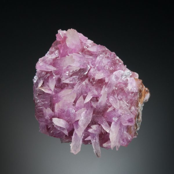Calcite, var. Cobaltoan Calcite