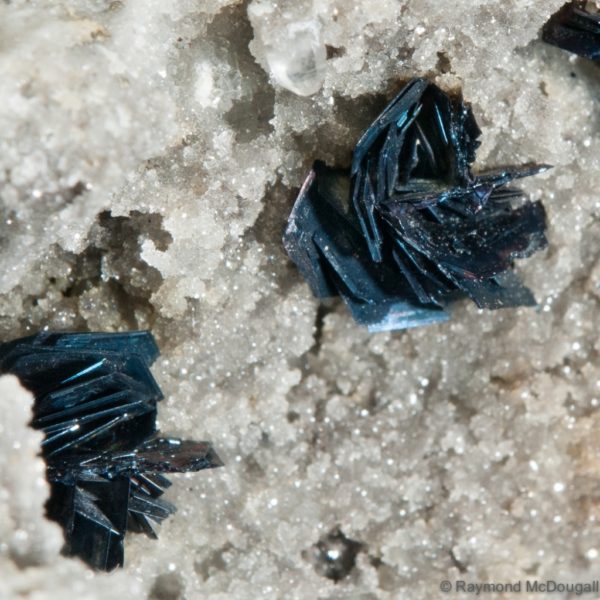 Covellite