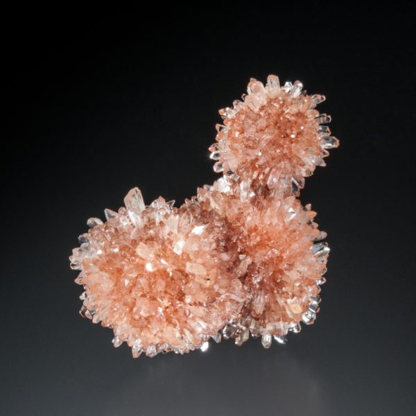 Creedite