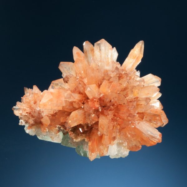 Creedite