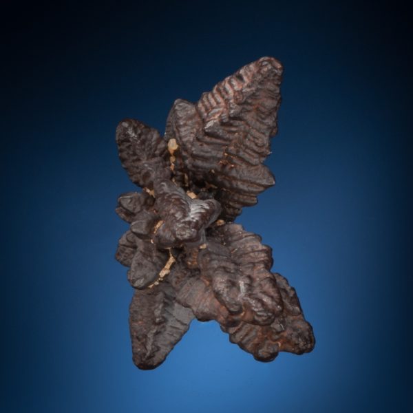 Goethite PS Marcasite