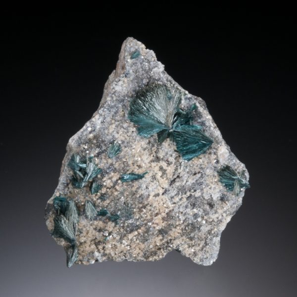 Gormanite