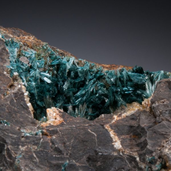 Gormanite