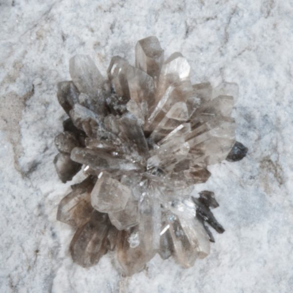 Howlite