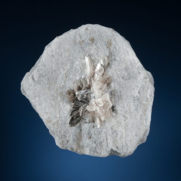 Howlite