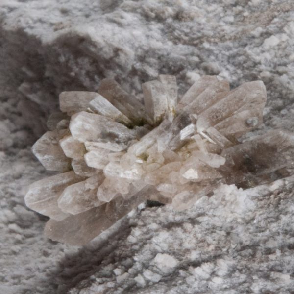Howlite