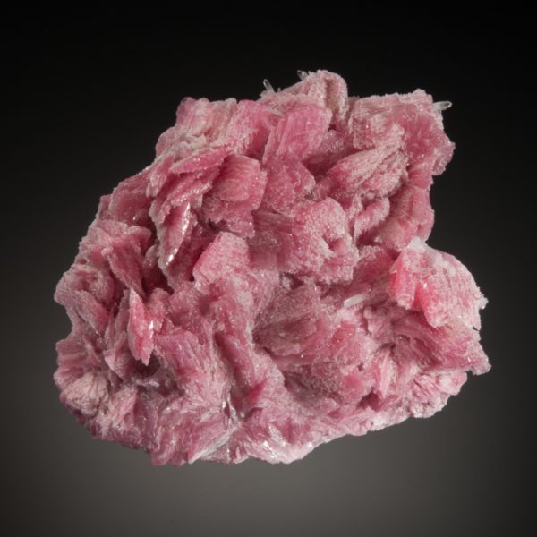 Rhodonite
