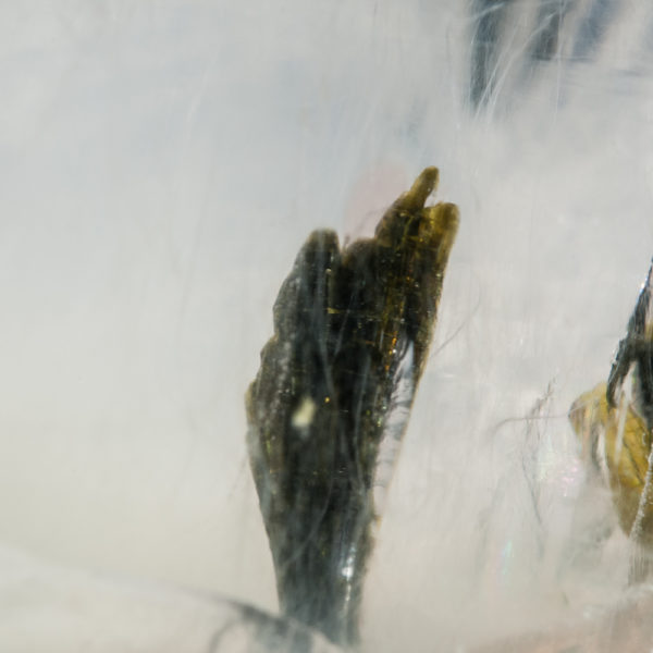 Quartz, Epidote inclusions - Image 2