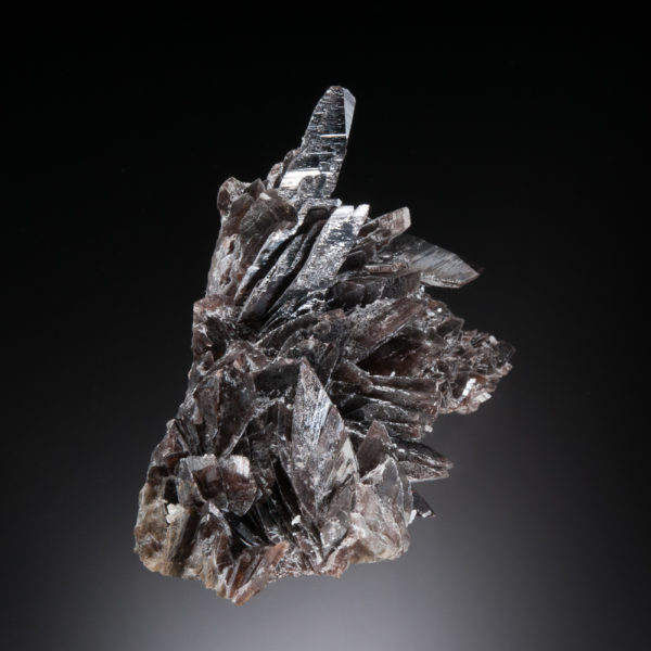 Axinite-(Fe) - Image 5