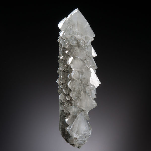 Quartz (Sceptre, Beta)