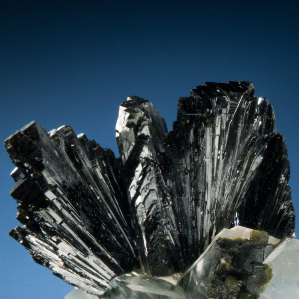 Epidote, Quartz - Image 2