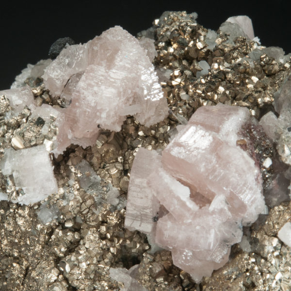 Fluorapatite on Pyrite - Image 2