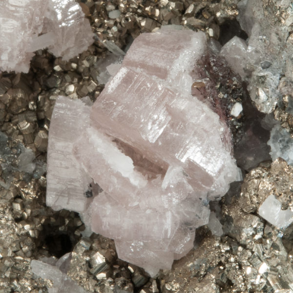 Fluorapatite on Pyrite - Image 4