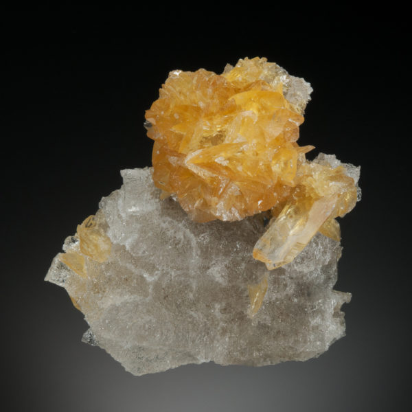 Gypsum var. Selenite on Halite