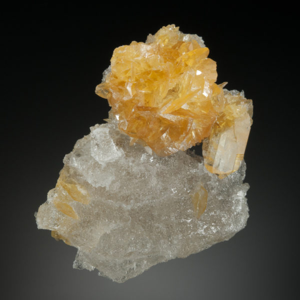 Gypsum var. Selenite on Halite - Image 2