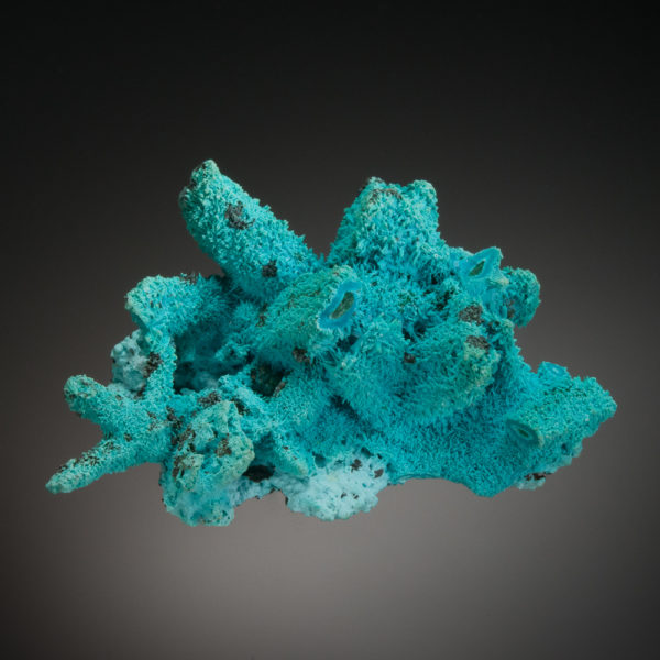Chrysocolla