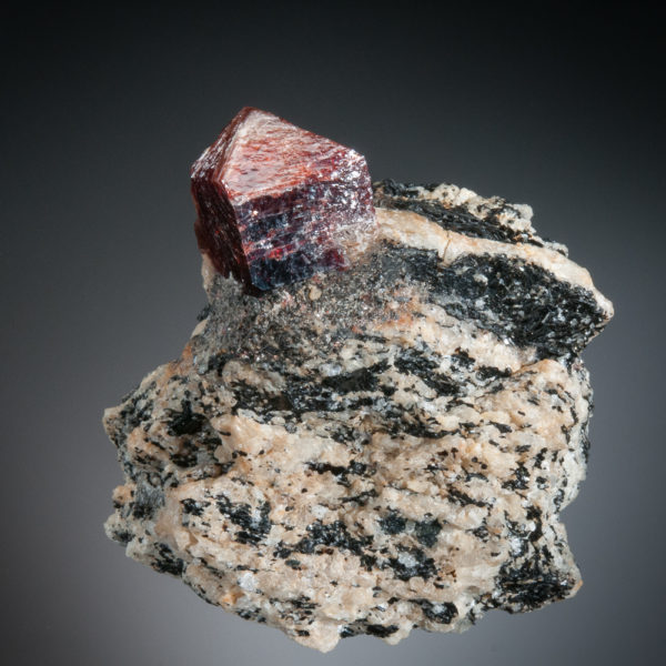Zircon - Image 5