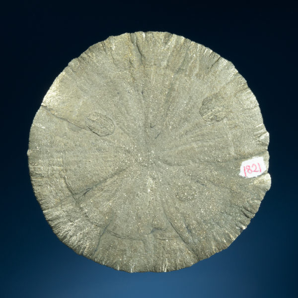 Pyrite - Image 2