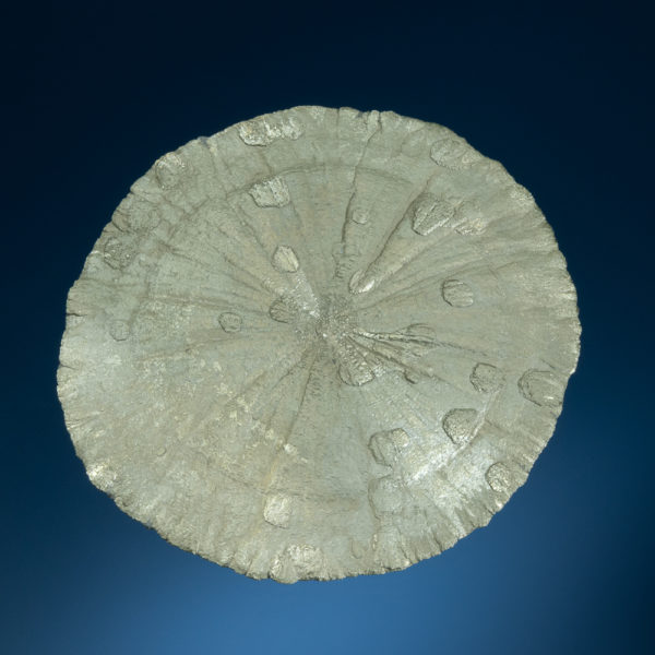 Pyrite - Image 2