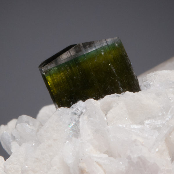 Elbaite Tourmaline, Quartz - Image 3