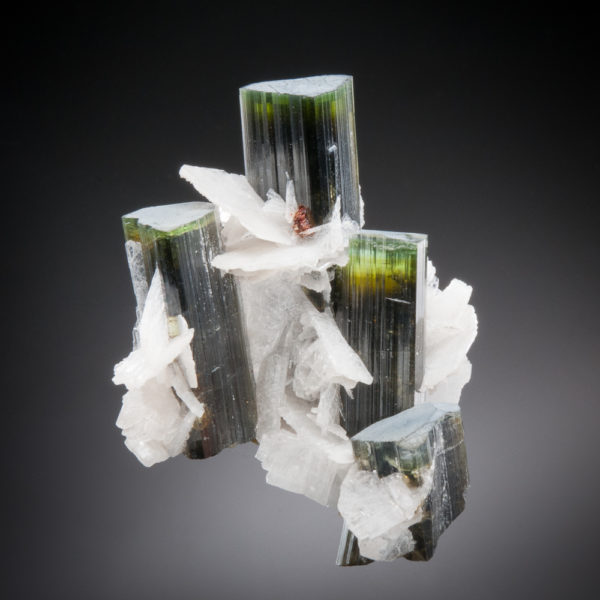 Elbaite Tourmaline, Albite