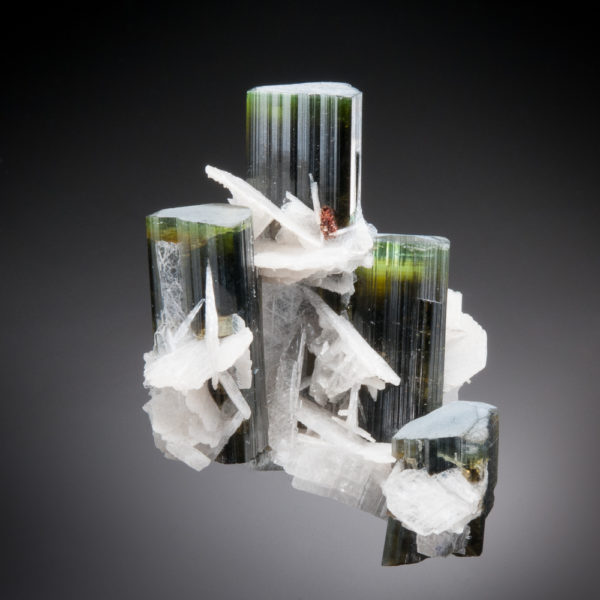 Elbaite Tourmaline, Albite - Image 2