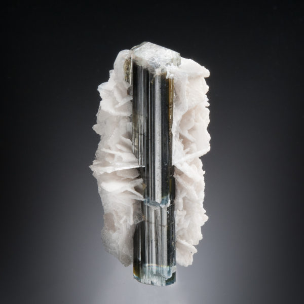 Elbaite Tourmaline, Albite