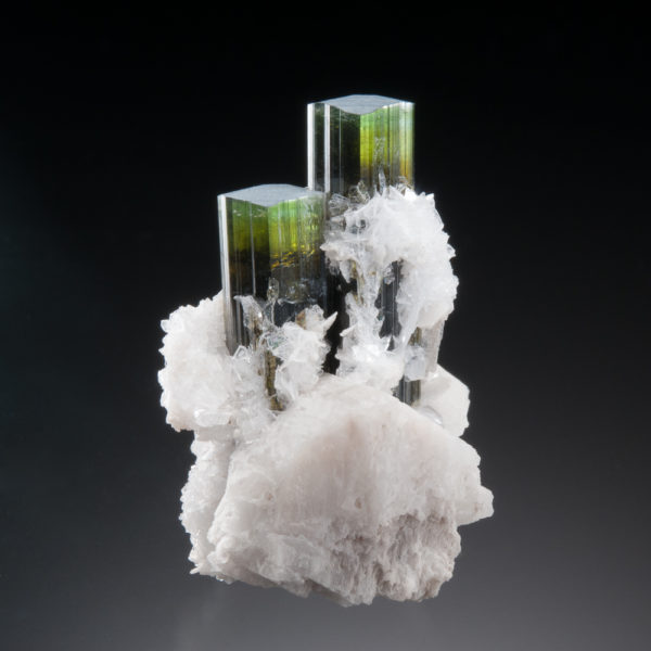 Elbaite Tourmaline, Albite