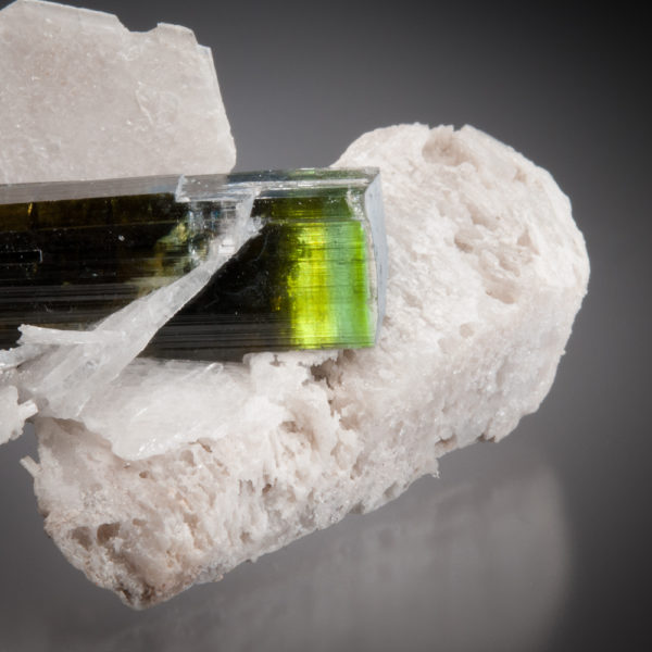 Elbaite Tourmaline, Albite - Image 2