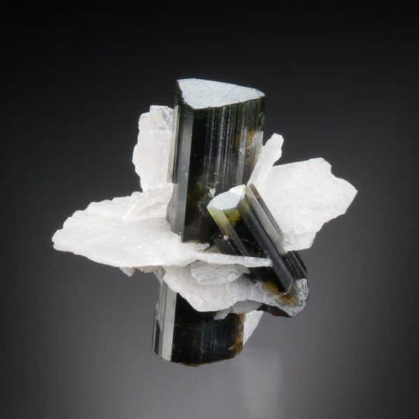 Elbaite Tourmaline, Albite