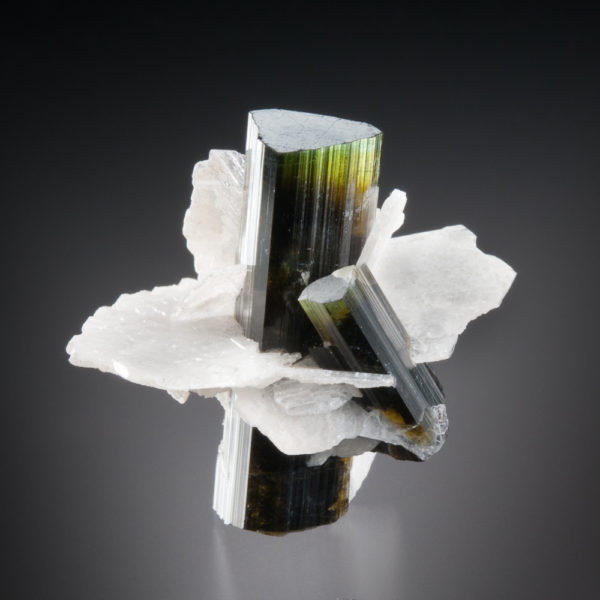 Elbaite Tourmaline, Albite - Image 2