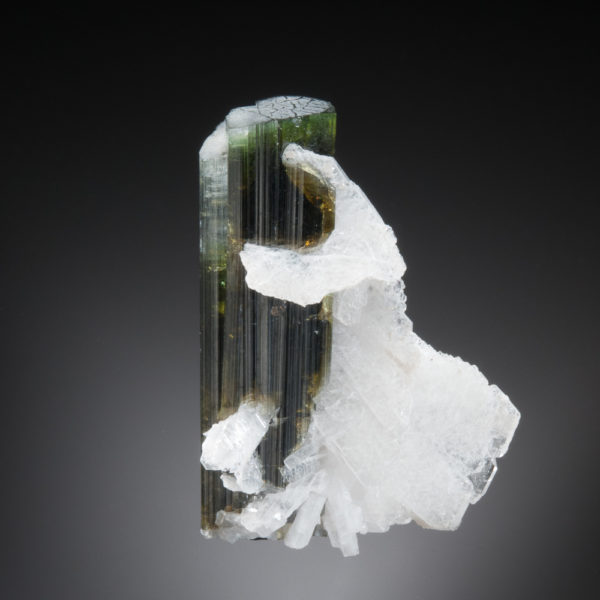 Elbaite Tourmaline, Albite